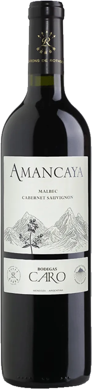 Bodegas Caro Amancaya