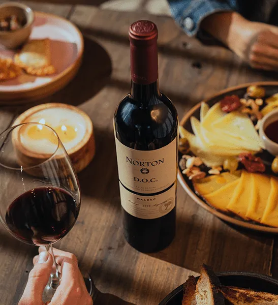 Norton Luján de Cuyo DOC Malbec
