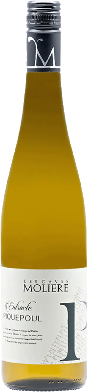 Picpoul Caves Molière