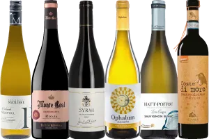 The Best of The Annual Wine Sale - 6 Bottle Mixed Case