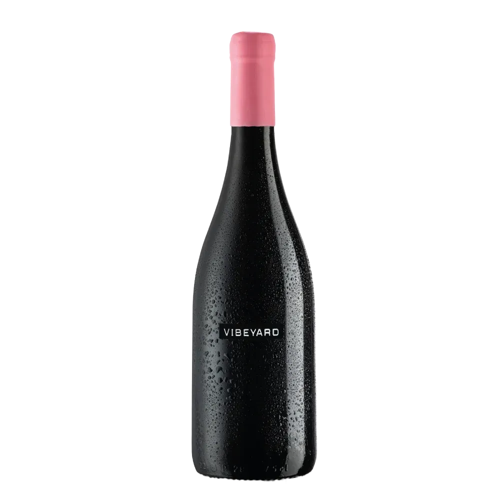 Vibeyard Amber Rosé 2022 75cl